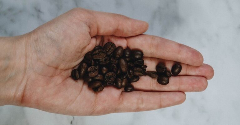 kavos pupelė arabika ar robusta